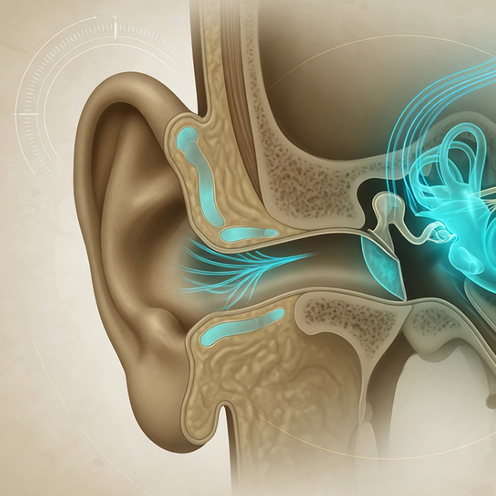 tinnitus corporate website